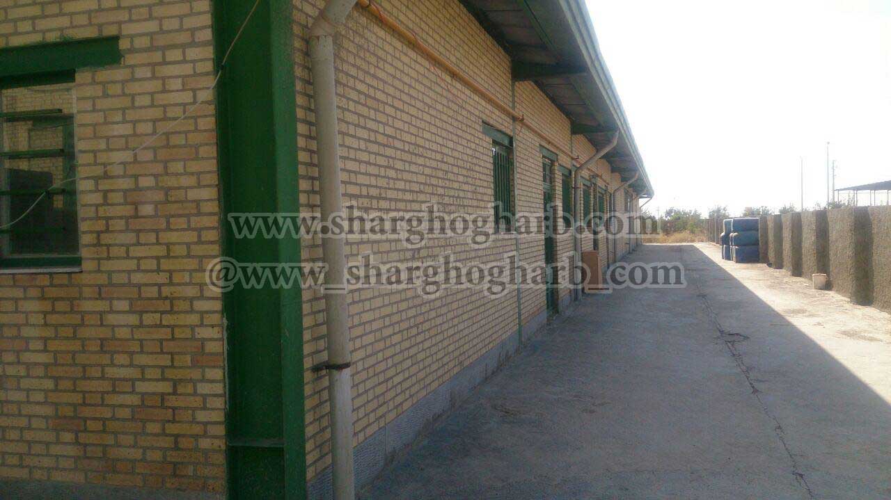 فروش کارخانه تولید سس در استان همدان