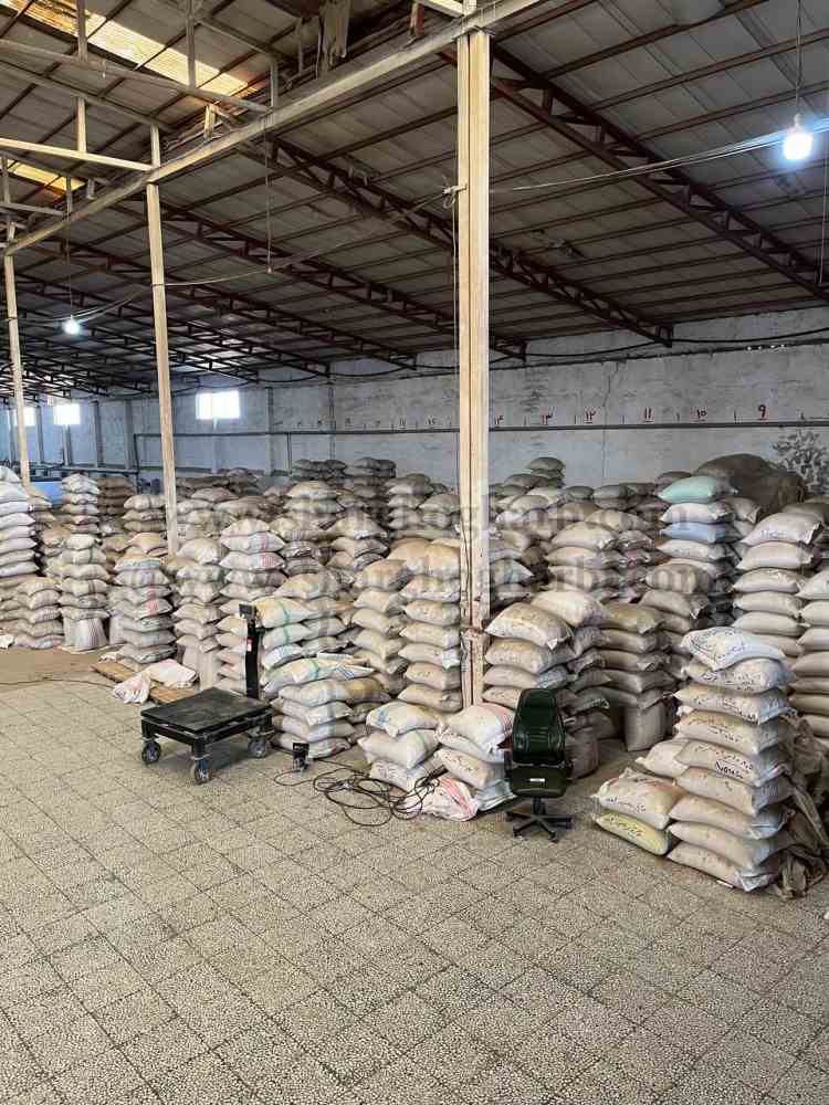 فروش انواع برنج شمال در بابلسر