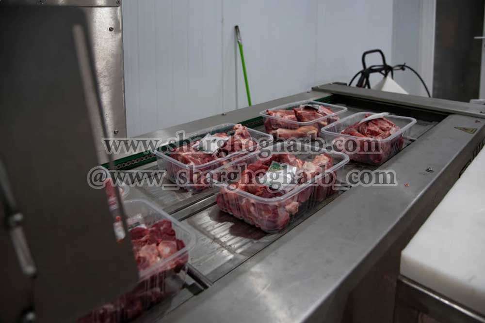 فروش مجتمع بسته بندی و انجماد انواع گوشت قرمز، ماکیان، آبزیان و تولید انواع برگر در استان قم